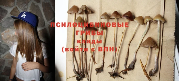 эйфоретик Кинешма