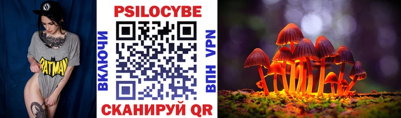 Купить закладки  Сарапул  Псилоцибиновые грибы мицелий 