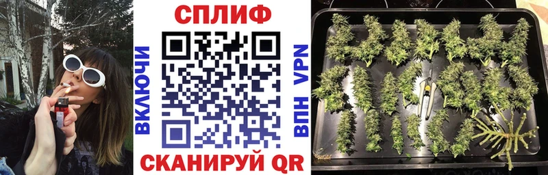 Купить где Сарапул Бошки марихуана конопля